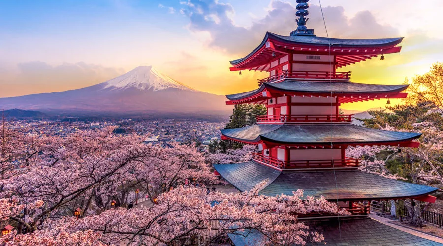 AdobeStock_265237090 (72dpi) AdobeStock_265237090 (72dpi)