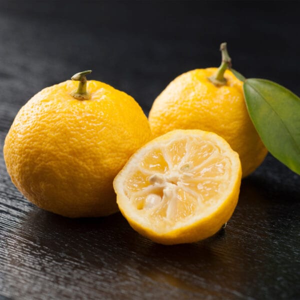 Yuzu Fruit